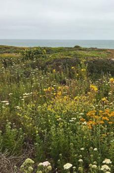 Hardcover Coastal Book