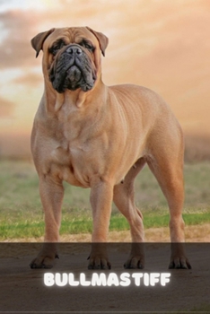 Paperback Bullmastiff: Complete breed guide Book