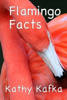 Paperback Flamingo Facts Book