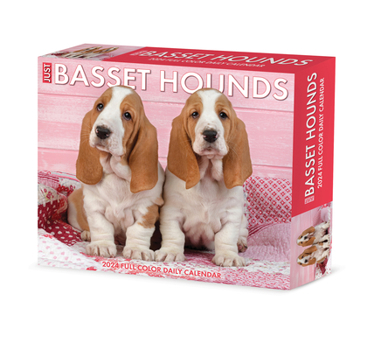Product Bundle Basset Hounds 2024 6.2 X 5.4 Box Calendar Book