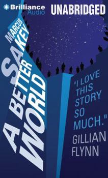 A Better World - Book #2 of the Brilliance Saga