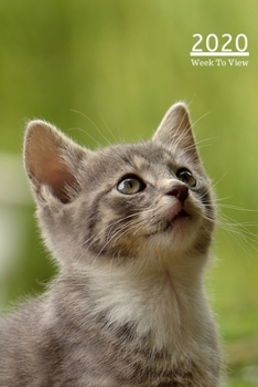 Paperback 2020 A5 Diary Week To View Planner For All Occasions: - Year Planner For Business, Office, Home, University, College, School, Appointments, Organizer. Book