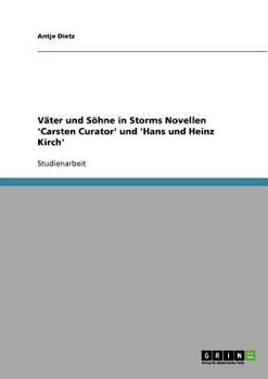 Paperback Väter und Söhne in Storms Novellen 'Carsten Curator' und 'Hans und Heinz Kirch' [German] Book