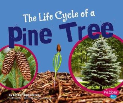 Hardcover The Life Cycle of a Pine Tree Book