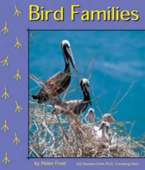 Paperback Bird Families Book