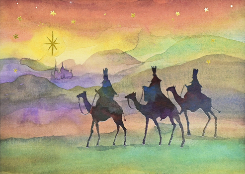 Misc. Star of Wonder Deluxe Boxed Holiday Cards (20 Cards, 21 Self-Sealing Envelopes) [With Envelope] Book