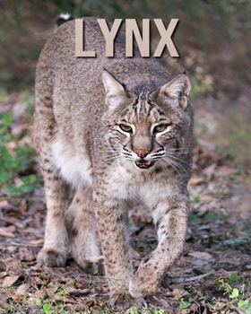 Paperback Lynx: Amazing Pictures and Facts About Lynx Book