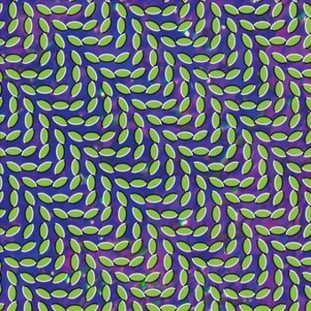 Vinyl Merriweather Post Pavilion Book