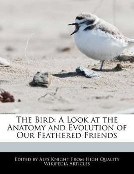 The Bird : A Look at the Anatomy and Evolution of Our Feathered Friends