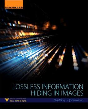 Paperback Lossless Information Hiding in Images Book