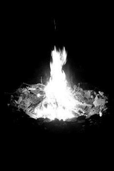 Paperback Through Darkness and Light: Poetry and Musings Book