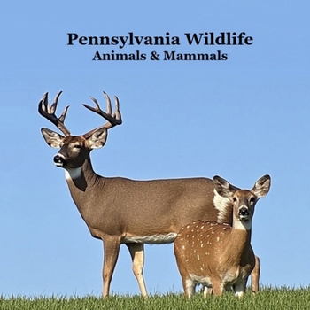 Pennsylvania Animals and Mammals Kids Wildlife Book: Great Wildlife Book about Animals and Mammals in Pennsylvania