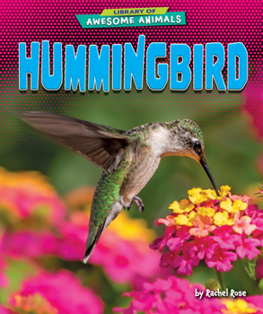 Paperback Hummingbird Book