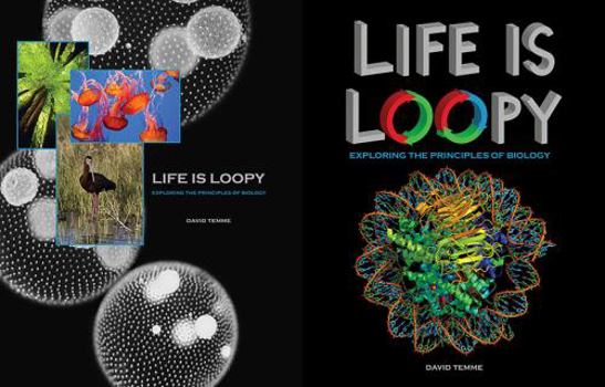 Spiral-bound Life is Loopy: Exploring the Principles of Biology Book