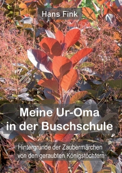 Paperback Meine Ur-Oma in der Buschschule: Hintergründe der Zaubermärchen von den geraubten Königstöchtern [German] Book