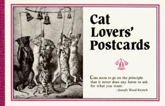 Paperback Cat Lover's Postcards Book
