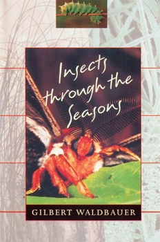 Paperback Insects Through the Seasons Book