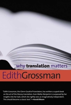 Paperback Why Translation Matters Book