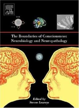 Paperback The Boundaries of Consciousness: Neurobiology and Neuropathology Book