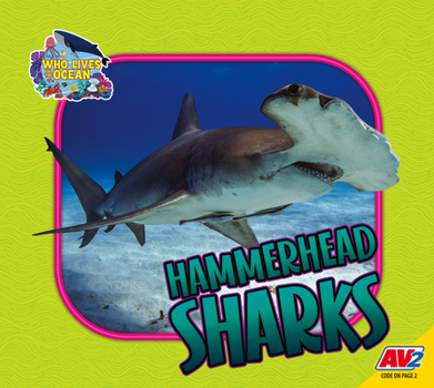 Hammerhead Sharks (Who Lives in the Ocean)