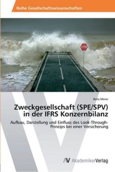 Paperback Zweckgesellschaft (SPE/SPV) in der IFRS Konzernbilanz [German] Book