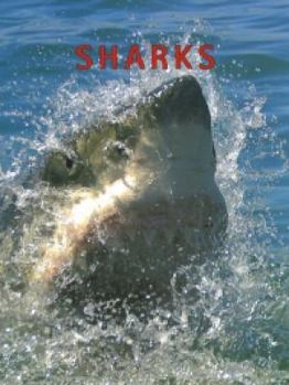 Unknown Binding SHARKS; SANDRY FORTY Book