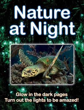 Paperback Nature at Night Book