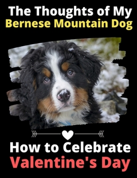 The Thoughts of My Bernese Mountain Dog: How to Celebrate Valentine's Day