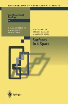 Paperback Surfaces in 4-Space Book