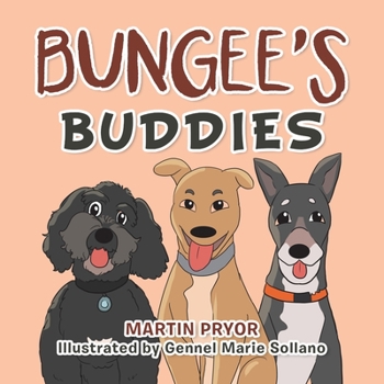 Paperback Bungee's Buddies Book