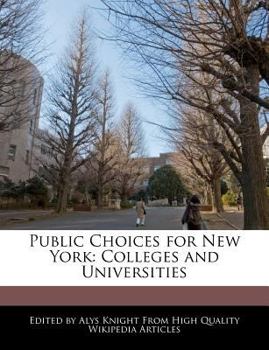 Public Choices for New York : Colleges and Universities
