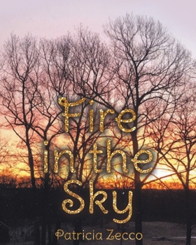 Paperback Fire in the Sky Book