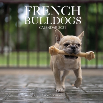 Paperback French Bulldogs Calendar 2021: 16 Month Calendar Book