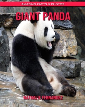 Giant Panda: Amazing Facts & Photos