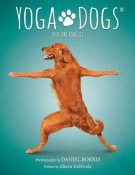 Cards Yoga Dogs Deck & Book Set Book