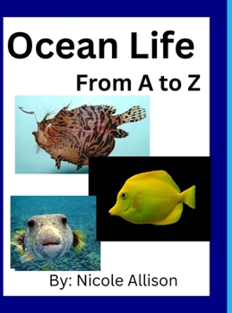 Hardcover Ocean Life: A to Z Book