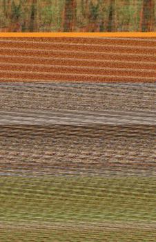 Paperback Come Ye Yourselves Apart Book