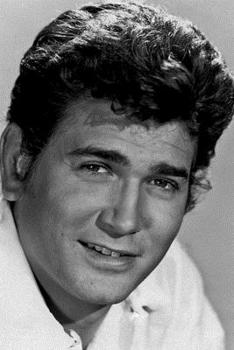 Michael Landon notebook - achieve your goals, perfect 120 lined pages #1 (Michael Landon Notebooks)