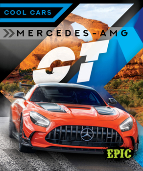 Library Binding Mercedes-Amg GT Book
