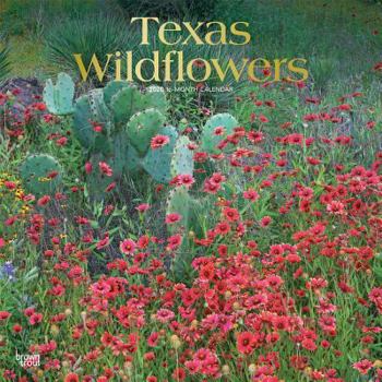 Calendar Texas Wildflowers 2020 Square Foil Book