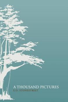 Paperback A Thousand Pictures Book