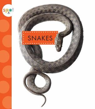 Paperback Snakes Book