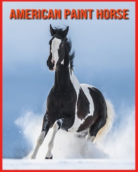 Paperback American Paint Horse: Fun Learning Facts About American Paint Horse Book