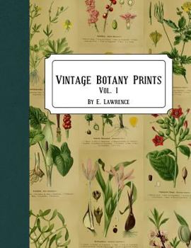 Paperback Vintage Botany Prints: Vol. 1 Book