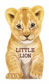 Board book Little Lion Book