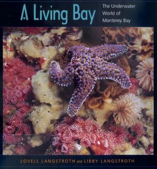 Paperback A Living Bay: The Underwater World of Monterey Bay Book