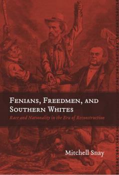 Hardcover Fenians, Freedmen, and Southern Whites: Race and Nationality in the Era of Reconstruction (Conflicting Worlds: New Dimensions of the American Civil War) Book
