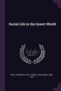 Paperback Social Life in the Insect World Book