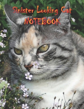 Sinister Looking Cat NOTEBOOK: Notebooks and Journals 110 pages (8.5"x11")