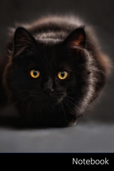 Notebook: 猫、ペット、動物、ストリート ノートブック/ 日記 / ライティングブック /